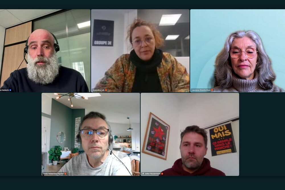 Les intervenants du webinaire organisé le 14 avril par le média Miroir social.