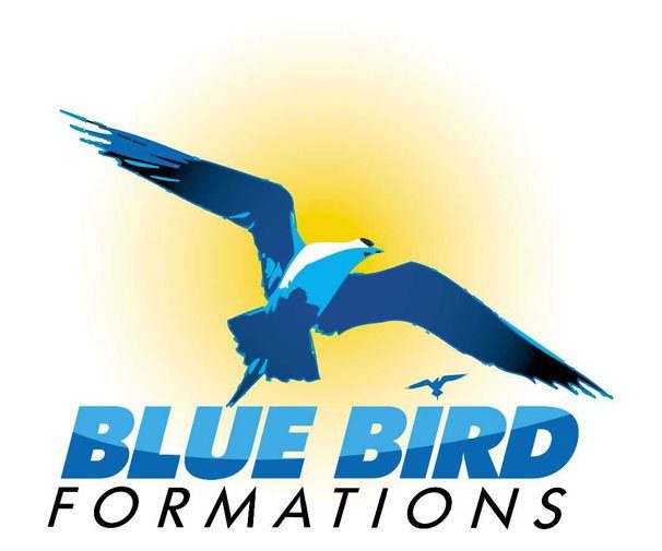 logo_blue_bird_formations.jpg