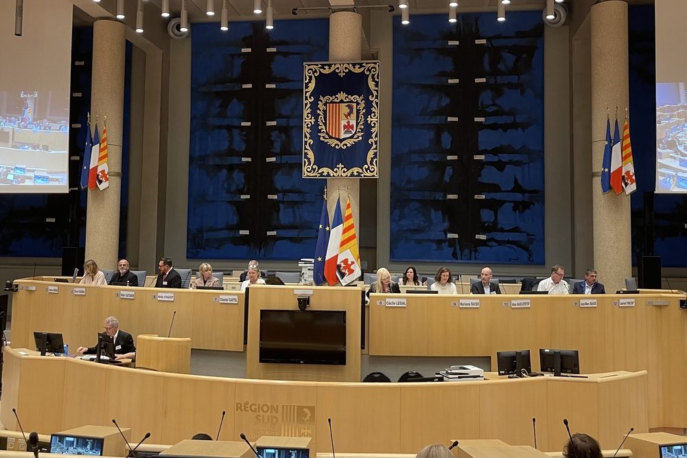 Les Assises de l’apprentissage organisées par la Fédération nationale des directeurs de CFA (Fnadir) Sud, dans l'hémicycle de l'Hôtel de Région Provence-Alpes-Côte d'Azur, le 28 mars 2025.